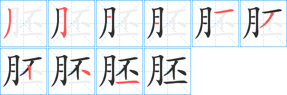 胚的笔顺分步演示图