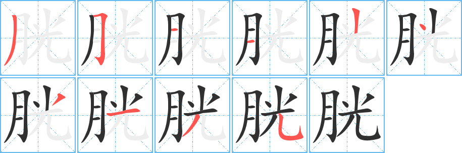 胱的笔顺分步演示图