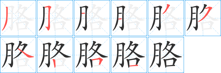 胳的笔顺分步演示图