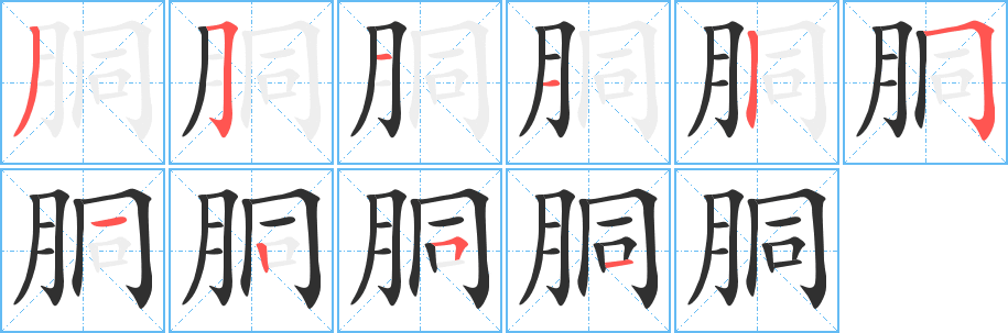 胴的笔顺分步演示图