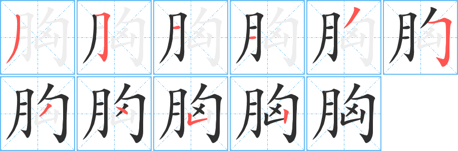 胸的笔顺分步演示图