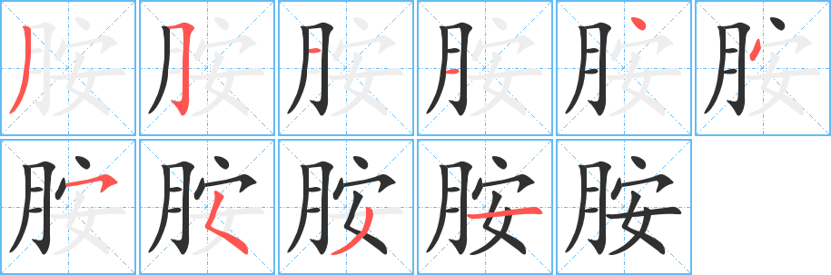 胺的笔顺分步演示图