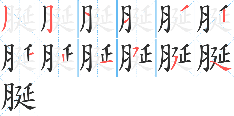 脠的笔顺分步演示图