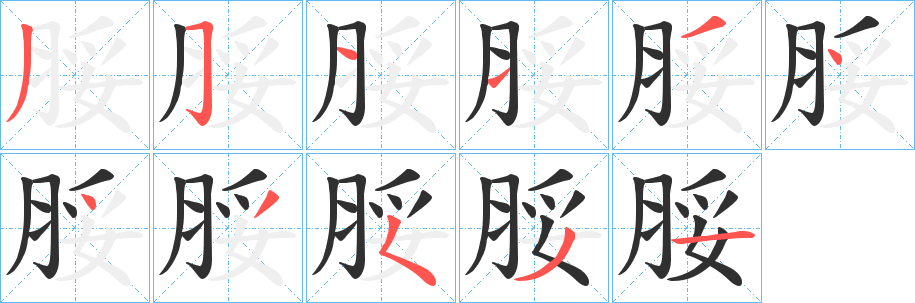 脮的笔顺分步演示图