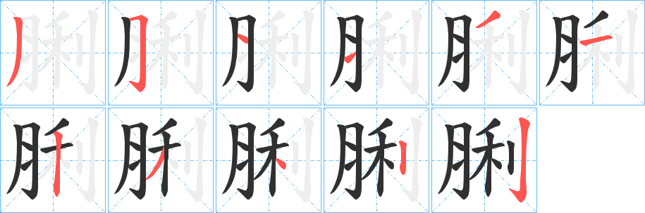 脷的笔顺分步演示图