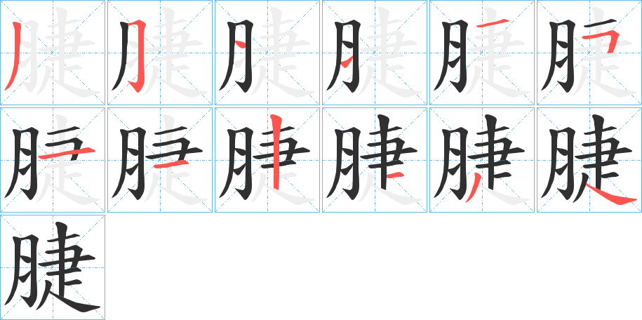 脻的笔顺分步演示图