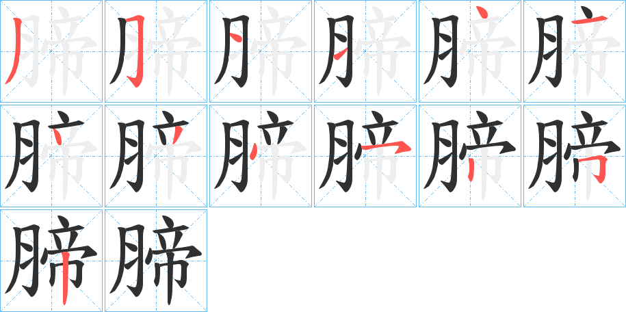 腣的笔顺分步演示图