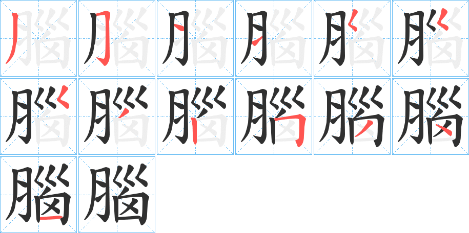 腦的笔顺分步演示图