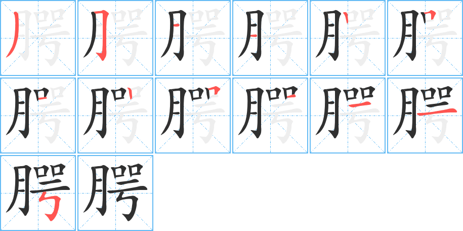 腭的笔顺分步演示图