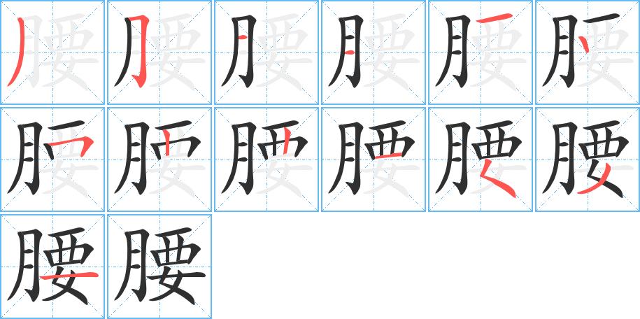 腰的笔顺分步演示图