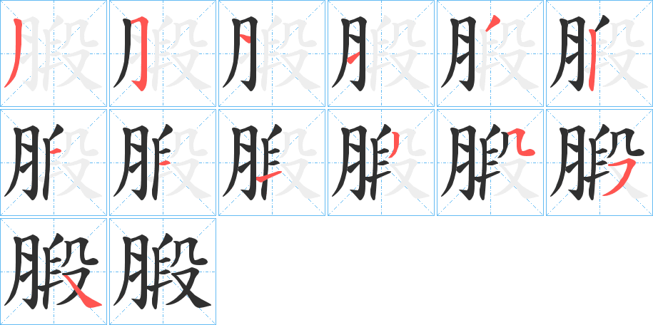 腶的笔顺分步演示图