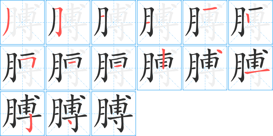 膊的笔顺分步演示图