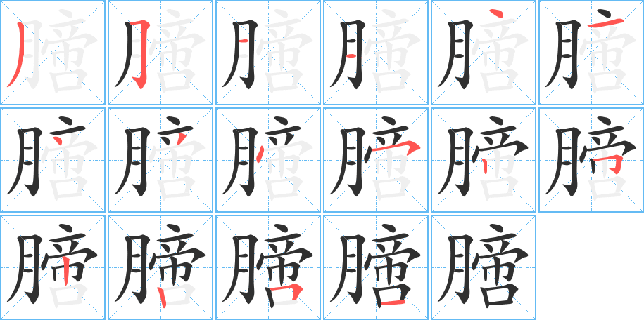 膪的笔顺分步演示图