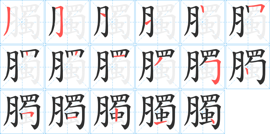 臅的笔顺分步演示图