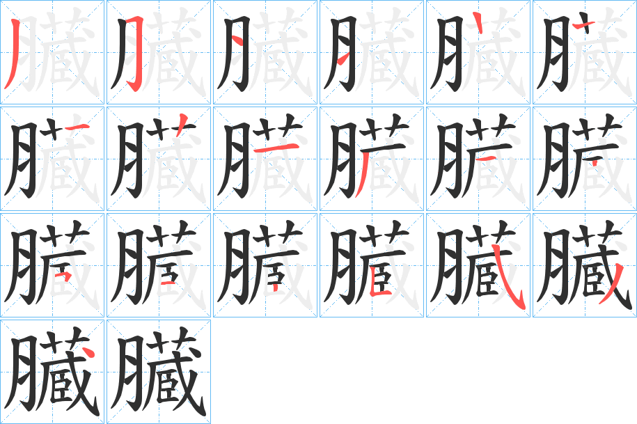 臓的笔顺分步演示图