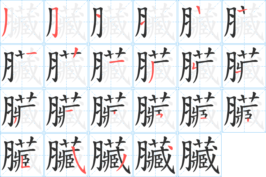 臟的笔顺分步演示图