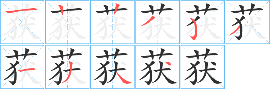 获的笔顺分步演示图