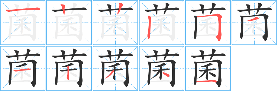 菌的笔顺分步演示图