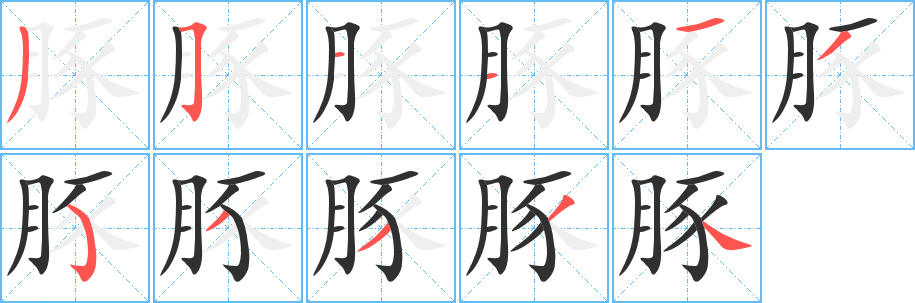 豚的笔顺分步演示图