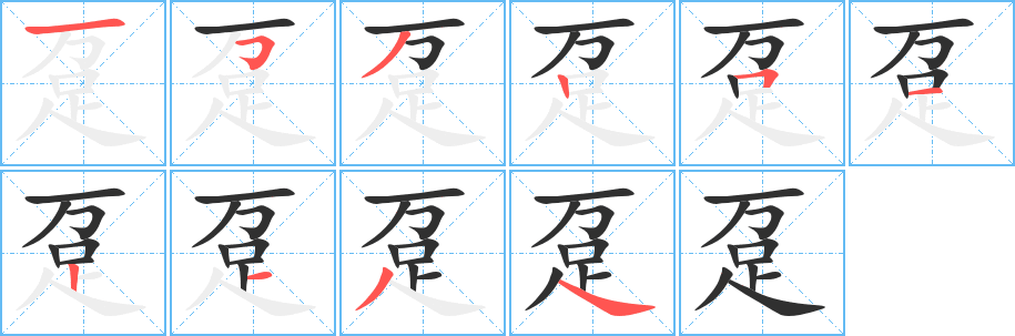 趸的笔顺分步演示图