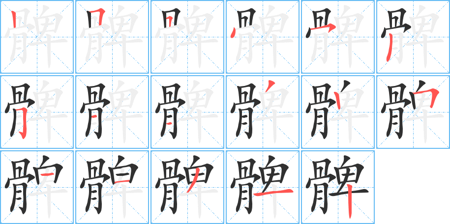 髀的笔顺分步演示图