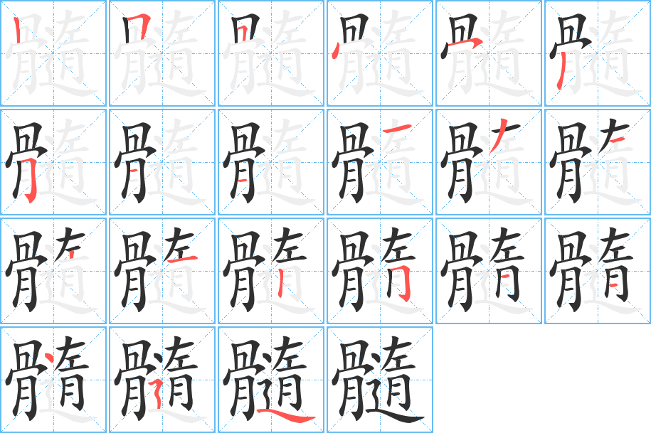 髓的笔顺分步演示图