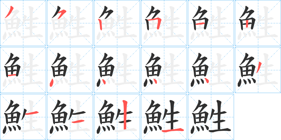 鮏的笔顺分步演示图