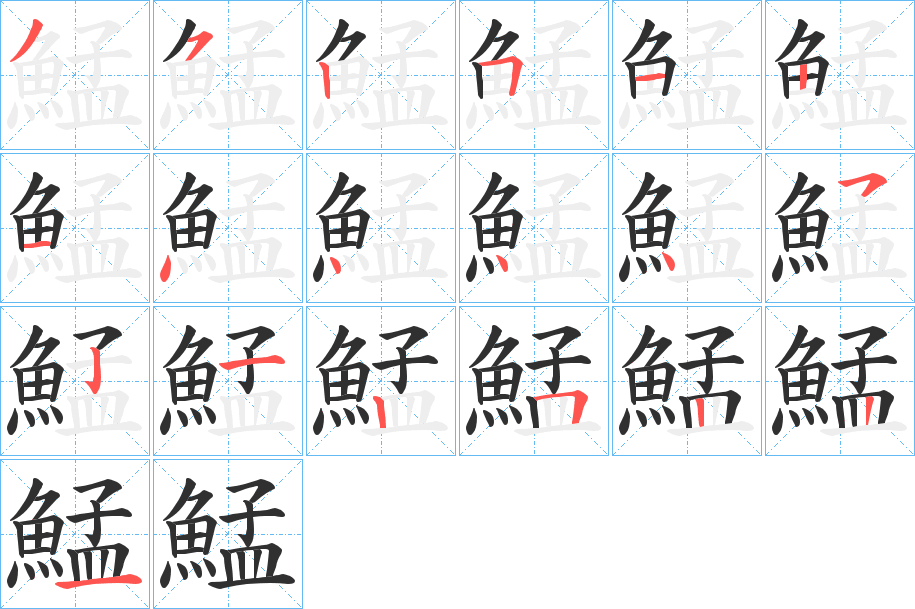 鯭的笔顺分步演示图