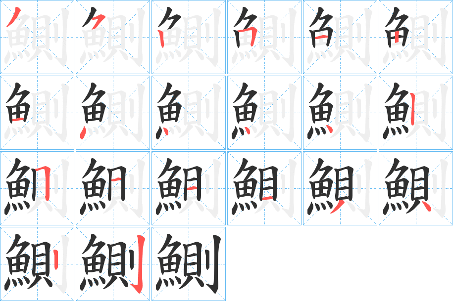 鰂的笔顺分步演示图