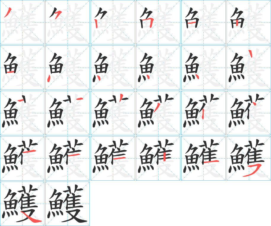 鱯的笔顺分步演示图