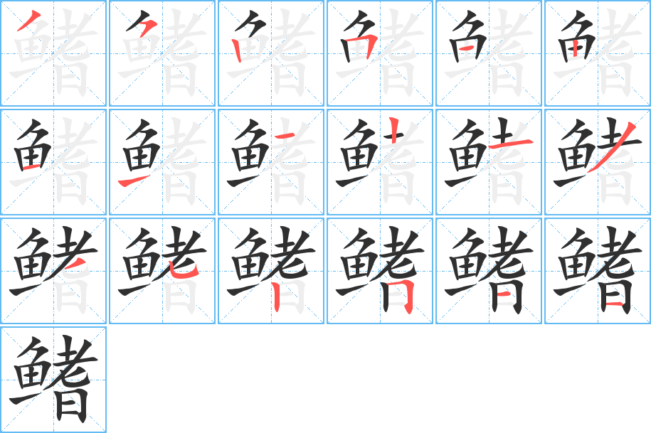 鳍的笔顺分步演示图