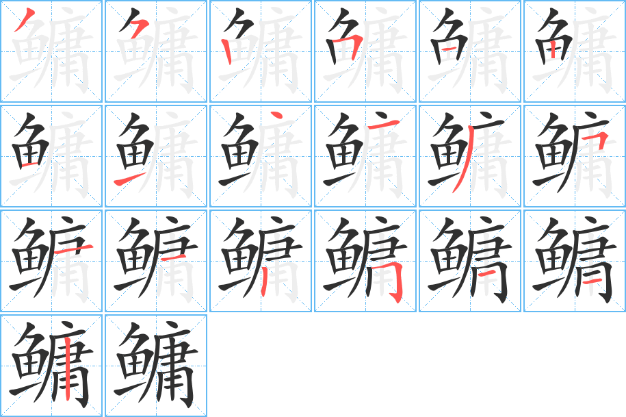 鳙的笔顺分步演示图