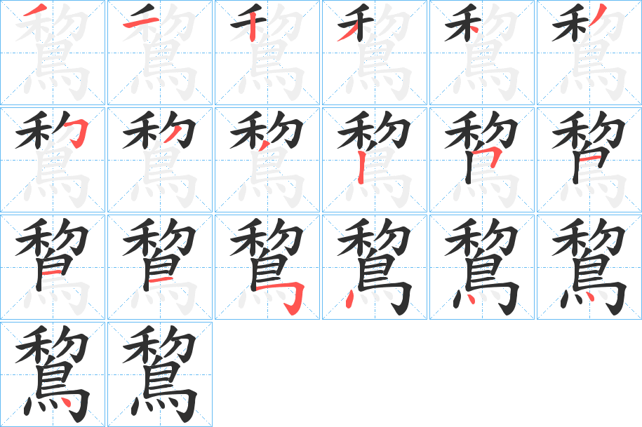 鵹的笔顺分步演示图