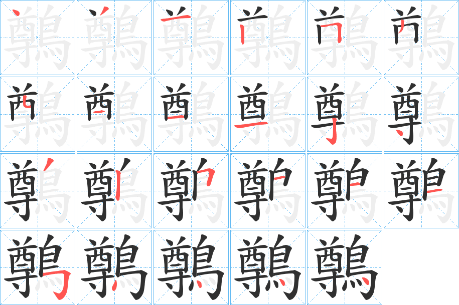 鷷的笔顺分步演示图