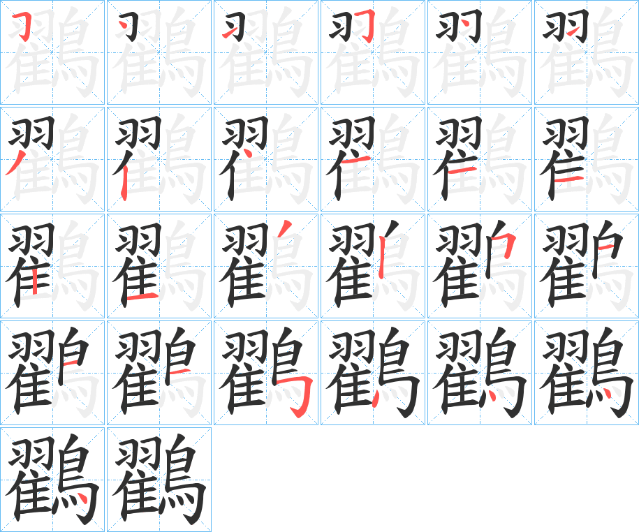 鸐的笔顺分步演示图