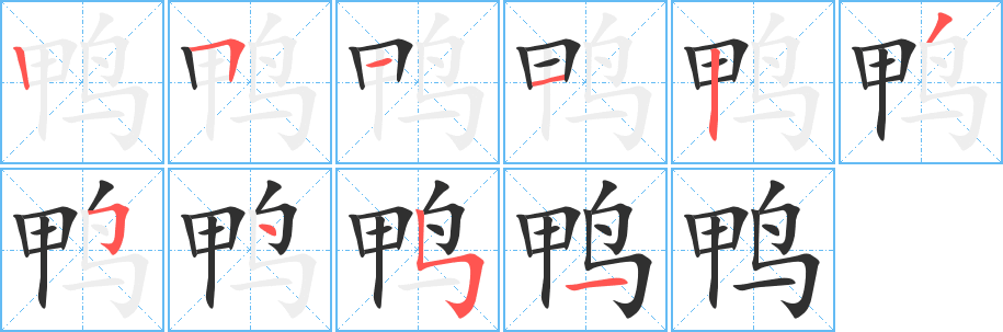 鸭的笔顺分步演示图